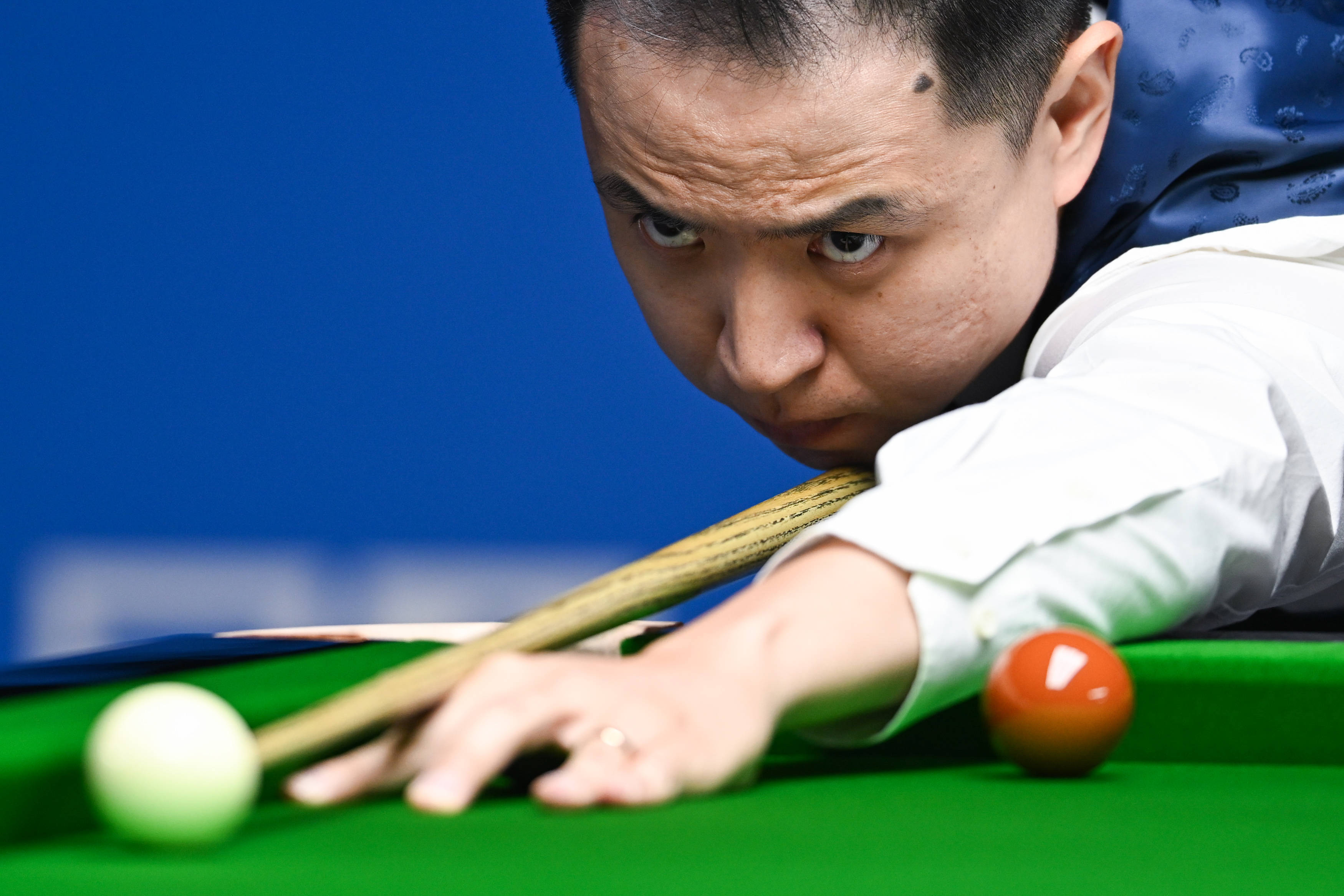 牛加盟切尔 牛加盟切尔