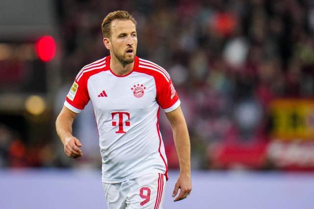 豪的明星 豪的明星