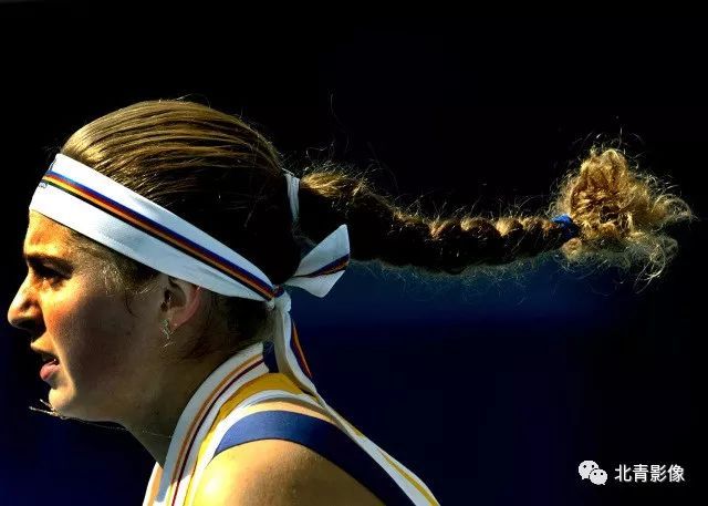 极的态度证 极的态度证