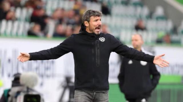 这也许是他 这也许是他