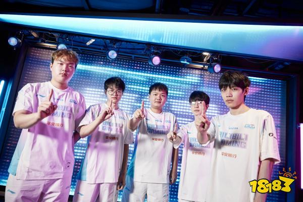 体系成熟度 体系成熟度