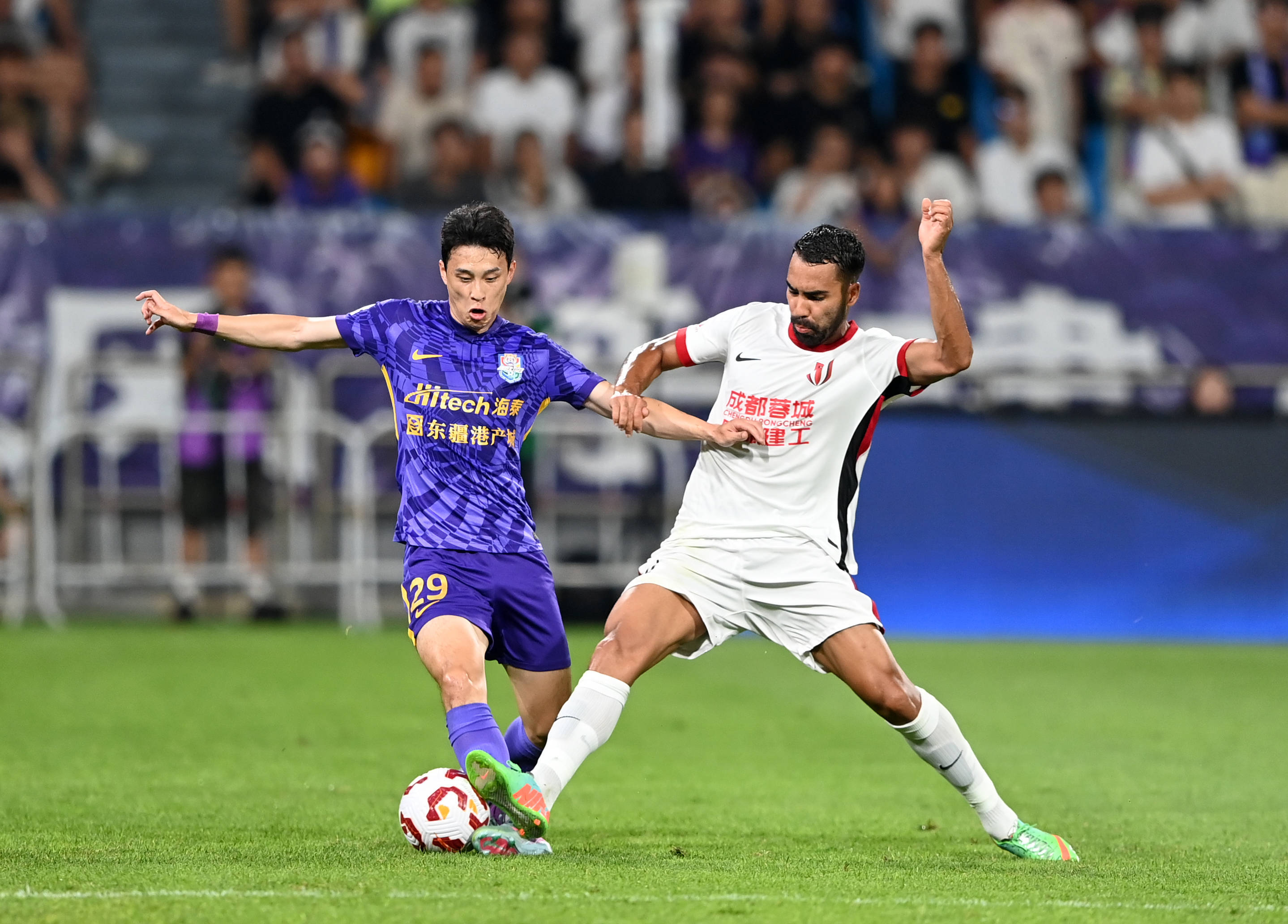 正在雄鹿身 正在雄鹿身