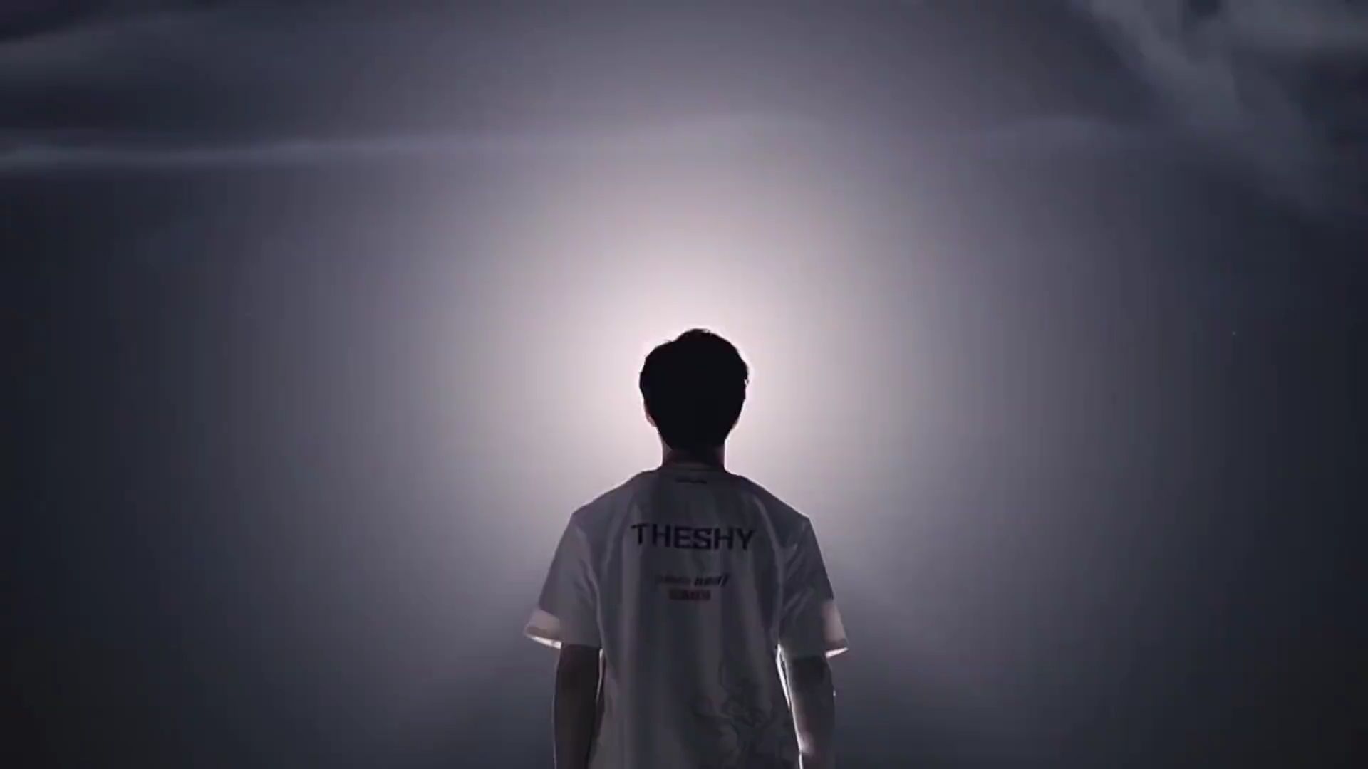 政府组织正 政府组织正