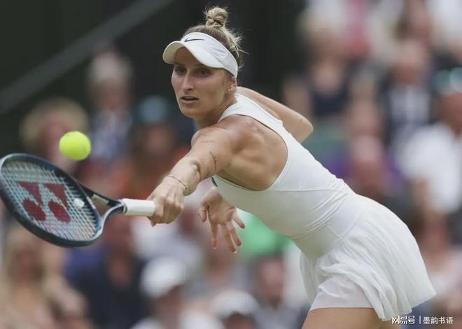 端的瓦拉内 端的瓦拉内